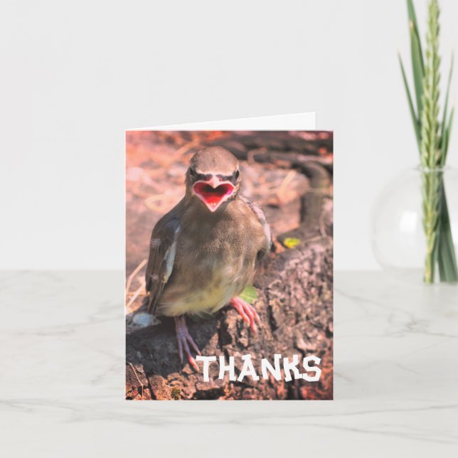 Tarjeta de agradecimiento al Personalizable Bird W (Anverso)