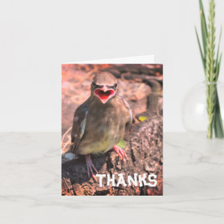 Tarjeta de agradecimiento al Personalizable Bird W
