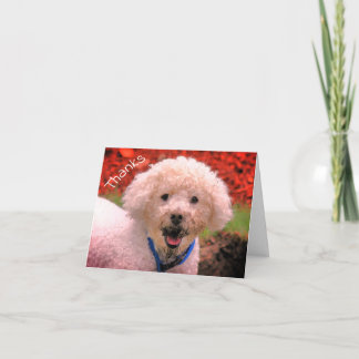 Tarjeta de agradecimiento al Personalizable de can
