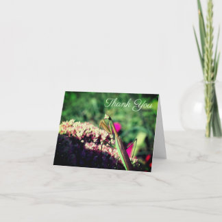 Tarjeta de agradecimiento al Personalizable de la