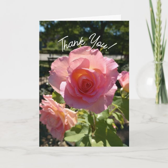 Tarjeta de agradecimiento al Rosa de té rosado rad (Anverso)