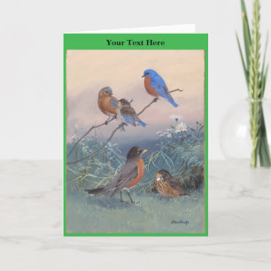 Tarjeta De Agradecimiento Allan Brooks Birds no1