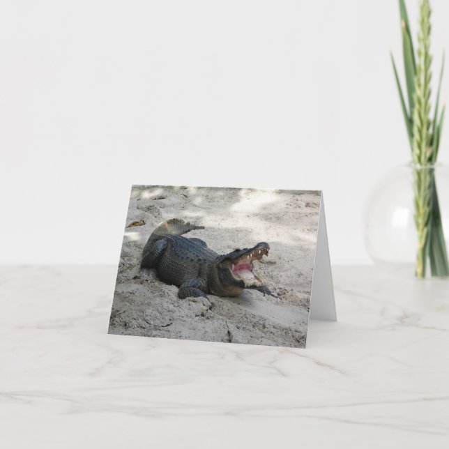 Tarjeta De Agradecimiento Alligator, Fort Lauderdale, Florida (Anverso)