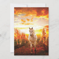 Almohada de caballos al atardecer