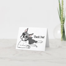 Amante Boston Terrier del perro
