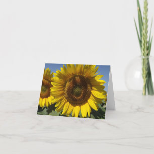 Tarjeta De Agradecimiento Amarillo Floral Girasol Flor - Gracias, Hola