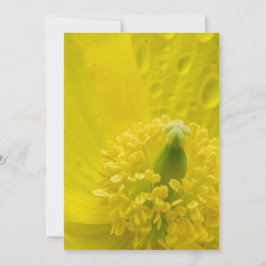 Tarjeta De Agradecimiento Amarillo oriental
