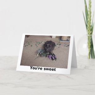 Tarjeta De Agradecimiento Amigo dulce