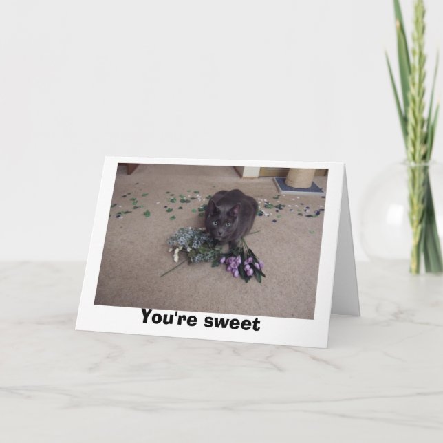 Tarjeta De Agradecimiento Amigo dulce (Anverso)