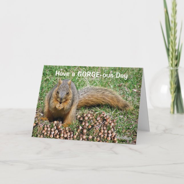Tarjeta De Agradecimiento Amistad Funny Squirrel Cazadoras (Anverso)