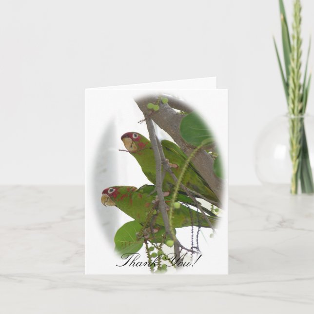 Tarjeta De Agradecimiento Amo loros (Anverso)