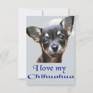 Tarjeta De Agradecimiento Amo mi chihuahua