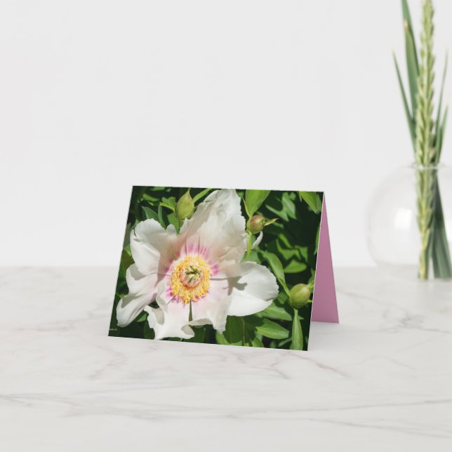 Tarjeta De Agradecimiento Amor de Peonía (Anverso)