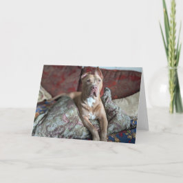 Tarjeta De Agradecimiento Amor de Pitbull