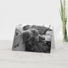Tarjeta De Agradecimiento Amor de Pitbull