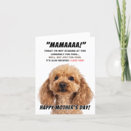 Tarjeta De Agradecimiento Amor del caniche por el día de la madre