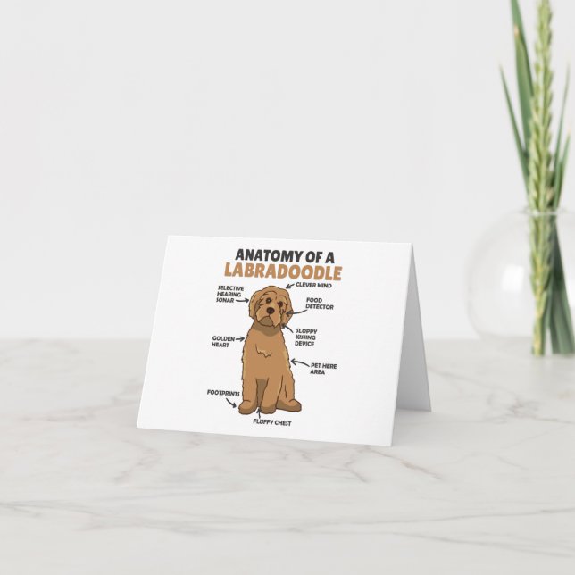 Tarjeta De Agradecimiento Anatomía De Un Cachorro De Cañón De Labradoodle (Anverso)