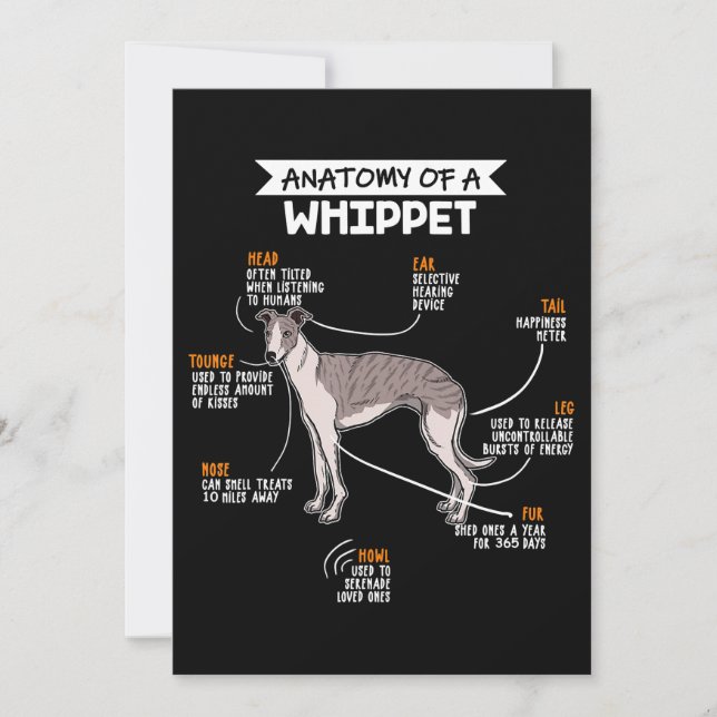 Tarjeta De Agradecimiento anatomía de un perro whippet regalo divertido para (Anverso)