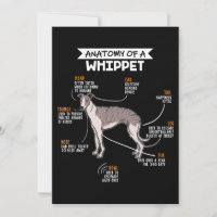 anatomía de un perro whippet regalo divertido para