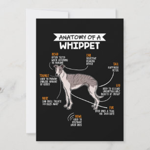 Tarjeta De Agradecimiento anatomía de un perro whippet regalo divertido para