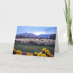Tarjeta De Agradecimiento Angus en pasto