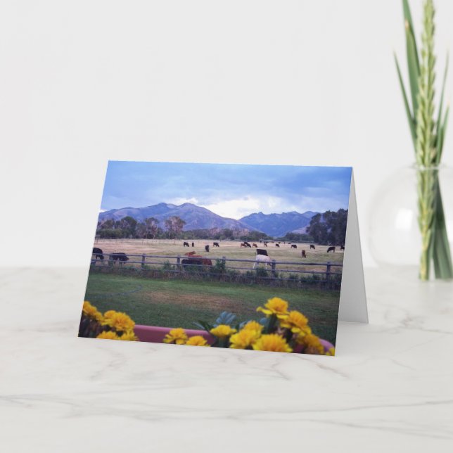 Tarjeta De Agradecimiento Angus en pasto (Anverso)
