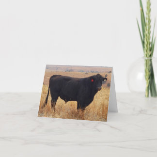 Tarjeta De Agradecimiento Angus negros Steer Grazing con su manada