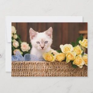 Tarjeta De Agradecimiento Animales Bebés Más Lindos   Gatito y Rosas Amarill
