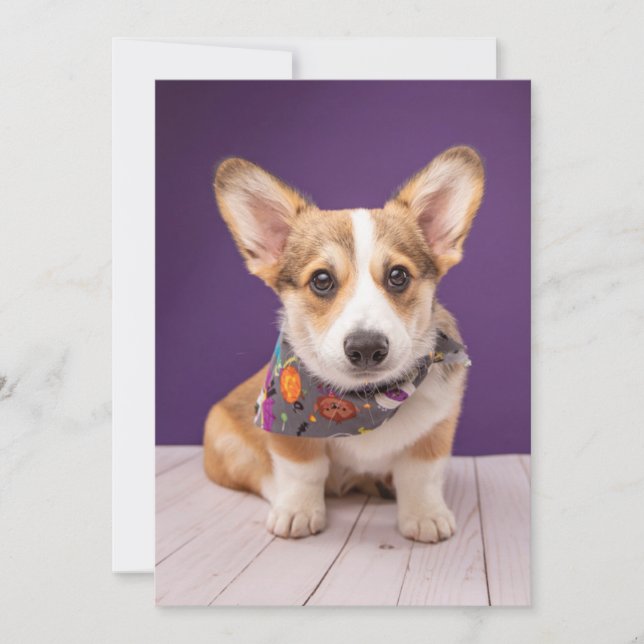 Tarjeta De Agradecimiento Animales Bebés más Lindos | Halloween Corgi (Anverso)