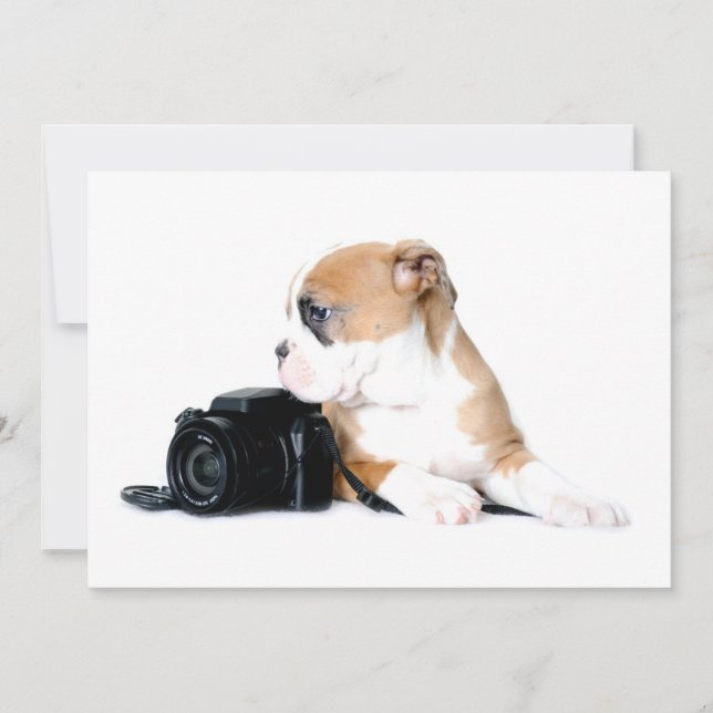 Tarjeta De Agradecimiento Animales de bebé más afectados | Antiguo Bulldog b (Anverso)