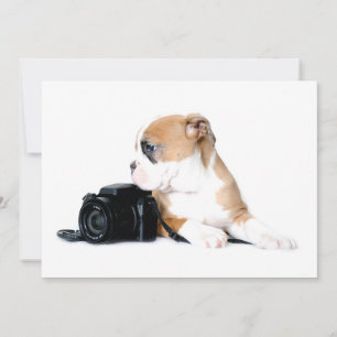 Tarjeta De Agradecimiento Animales de bebé más afectados   Antiguo Bulldog b