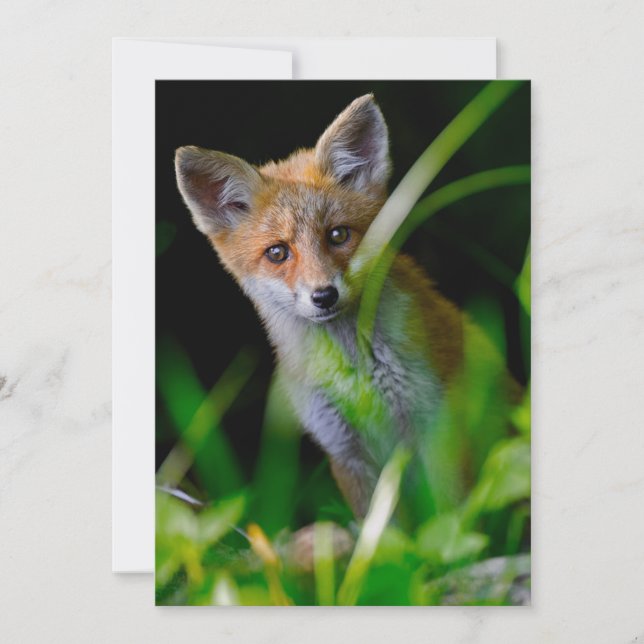 Tarjeta De Agradecimiento Animales de bebé más afectados | Baby Red Fox (Anverso)