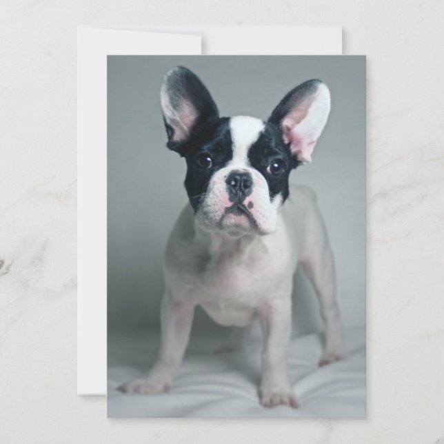 Tarjeta De Agradecimiento Animales de bebé más afectados | Cachorro de Bulld (Anverso)