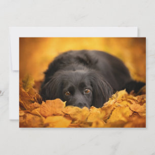 Tarjeta De Agradecimiento Animales de bebé más afectados   Cachorro español 