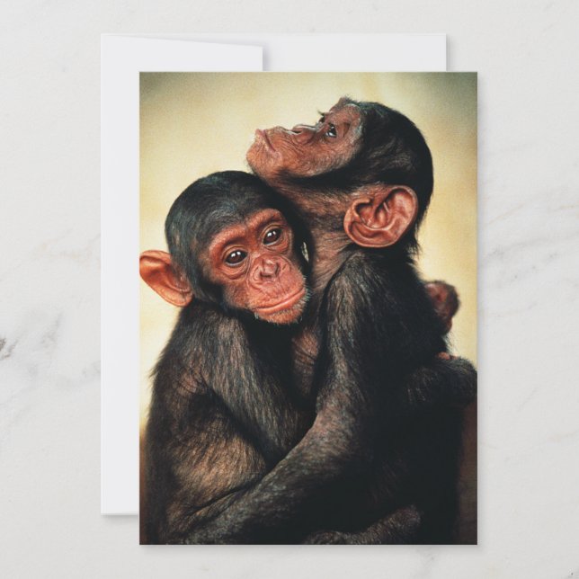 Tarjeta De Agradecimiento Animales de bebé más afectados | Chimpanzee Hug (Anverso)