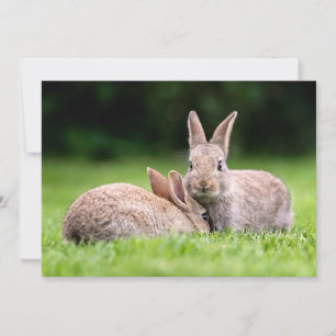Tarjeta De Agradecimiento Animales de bebé más afectados Conejos de conejo