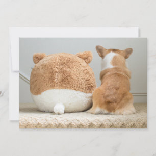 Tarjeta De Agradecimiento Animales de bebé más afectados Corgi & Plush Pup