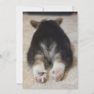 Tarjeta De Agradecimiento Animales de bebé más afectados Corgi Puppy Detrá