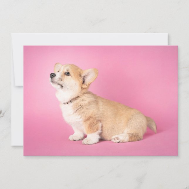 Tarjeta De Agradecimiento Animales de bebé más afectados | Corgi Puppy Rosa (Anverso)