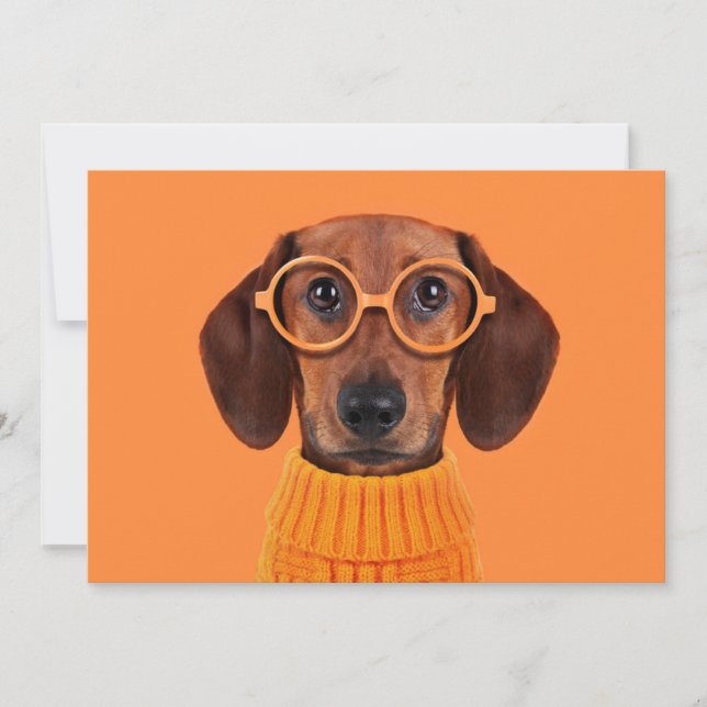 Tarjeta De Agradecimiento Animales de bebé más afectados | Dachshund Naranja (Anverso)