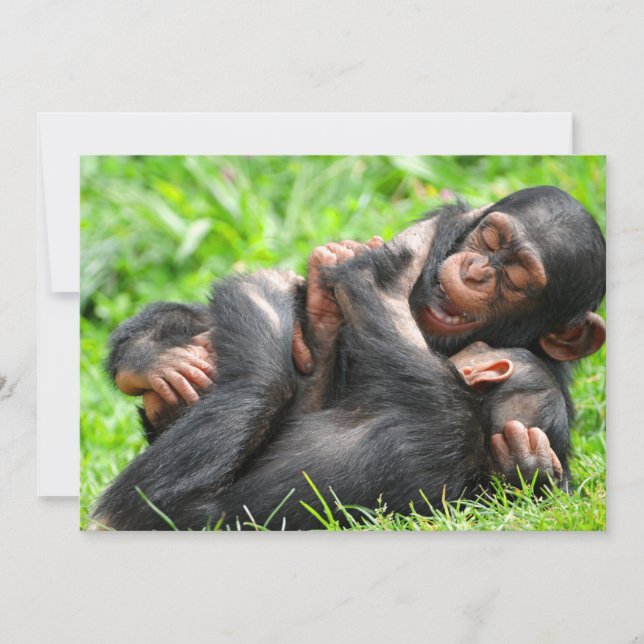 Tarjeta De Agradecimiento Animales de bebé más afectados | Dos jóvenes chimp (Anverso)
