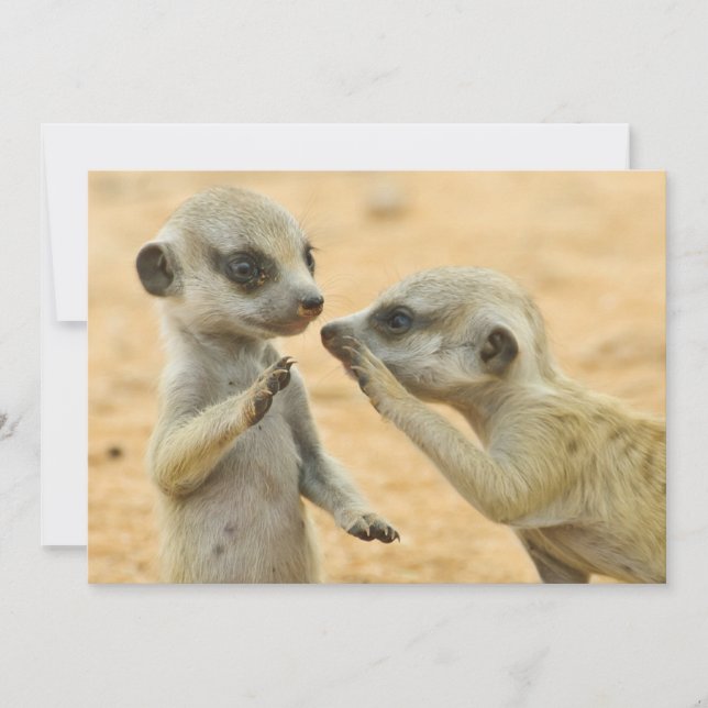 Tarjeta De Agradecimiento Animales de bebé más afectados | Dos Merkats Jóven (Anverso)