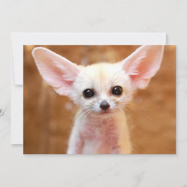 Tarjeta De Agradecimiento Animales de bebé más afectados | Fennec Fox (Anverso)