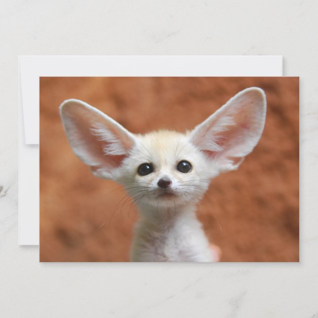 Tarjeta De Agradecimiento Animales de bebé más afectados | Fennec Fox Pup (Anverso)