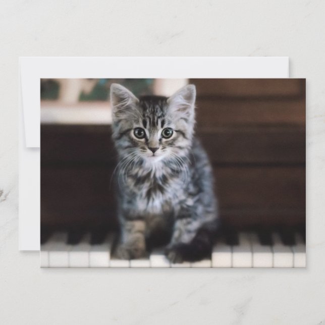Tarjeta De Agradecimiento Animales de bebé más afectados | Gatito en llaves  (Anverso)