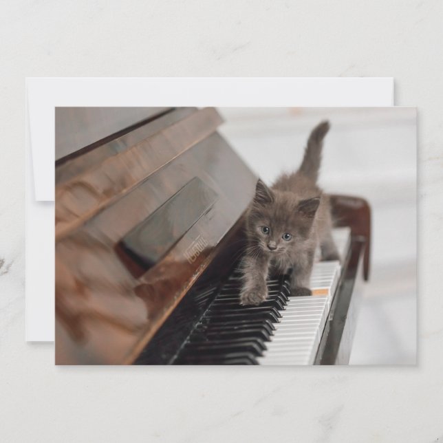 Tarjeta De Agradecimiento Animales de bebé más afectados | Gatito en piano (Anverso)