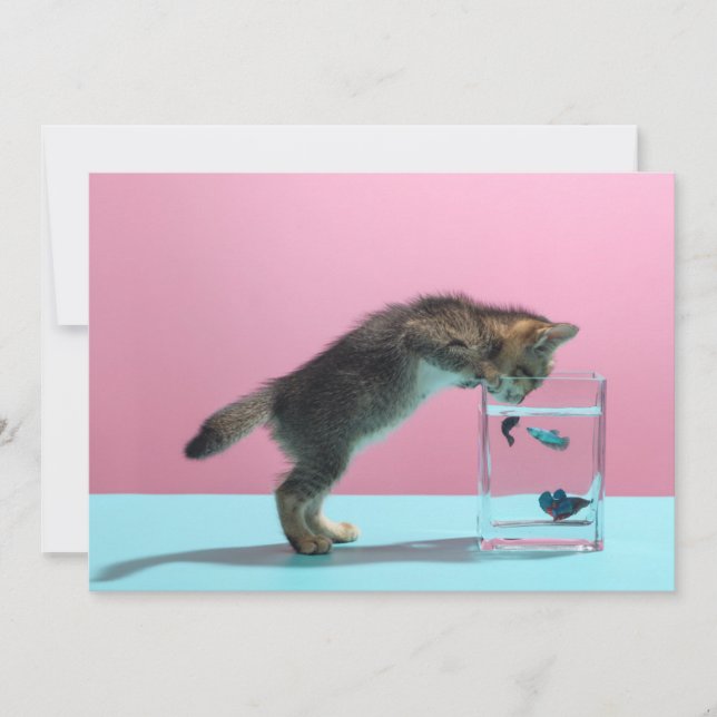 Tarjeta De Agradecimiento Animales de bebé más afectados | Gatito mirando al (Anverso)