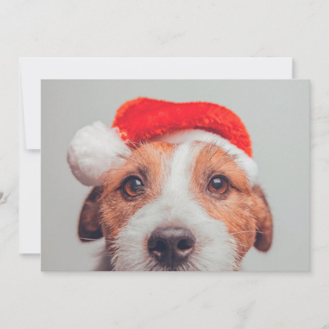 Tarjeta De Agradecimiento Animales de bebé más afectados | Jack Russell Dog  (Anverso)