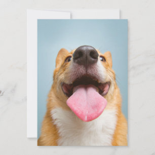 Tarjeta De Agradecimiento Animales de bebé más afectados Lengua Corgi