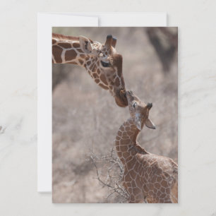 Tarjeta De Agradecimiento Animales de bebé más afectados   Madre y bebé Gira